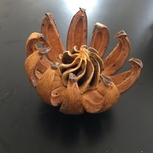 Meet your Posher, Jane